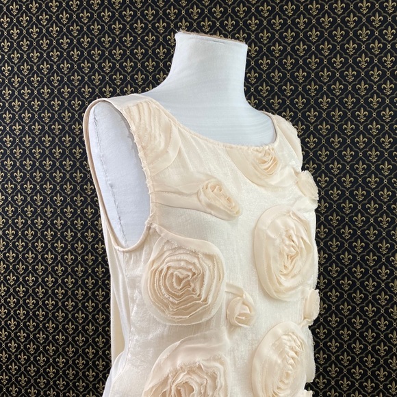 Anthro “Whirled Roses Tank” by Baraschi - Picture 4 of 11